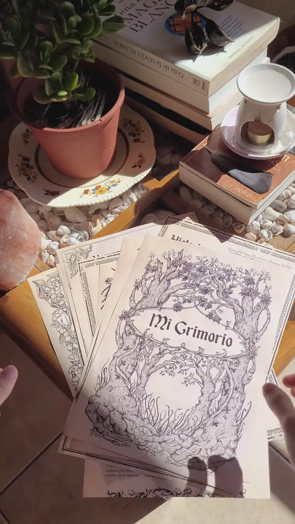 Cargar video: 